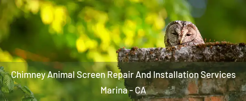  Chimney Animal Screen Repair And Installation Services Marina - CA