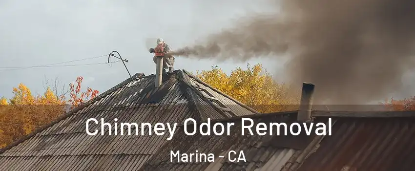  Chimney Odor Removal Marina - CA