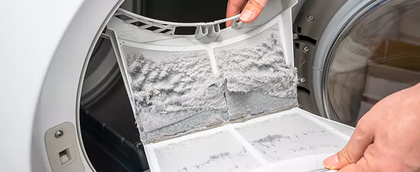 Best Dryer Lint Removal Company in Marina, California