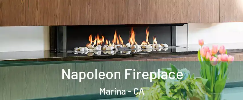  Napoleon Fireplace Marina - CA